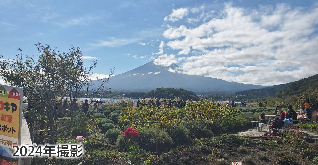 四季の花々景色