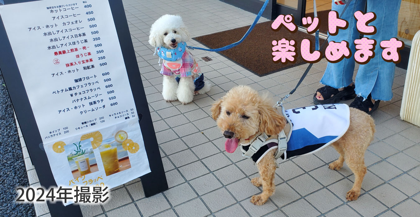 ペット可のカフェ