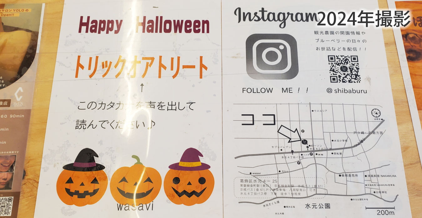 ハロウィン犬も一緒のカフェ