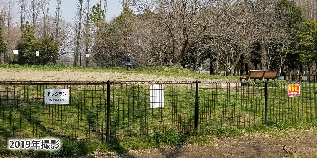 水元公園ドッグラン